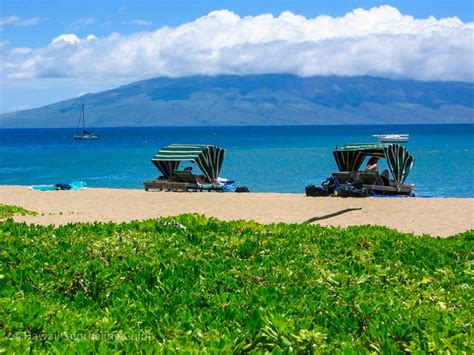 Kaanapali Beach & Black Rock Snorkeling Secrets! Local Insider Advice!