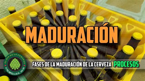 Cómo Hacer Cerveza Artesanal en Casa MADURACIÓN PROCESOS YouTube