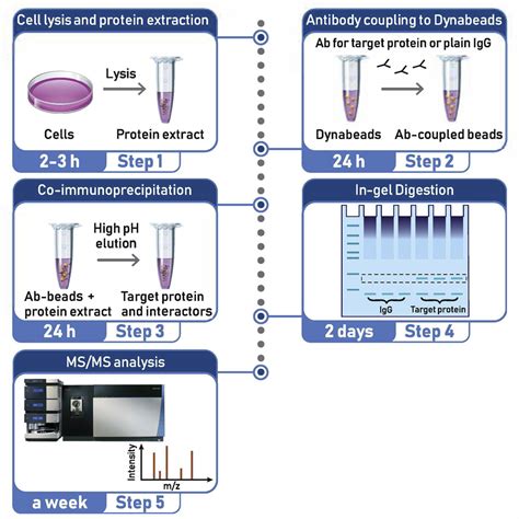 Cell Press STAR Protocols