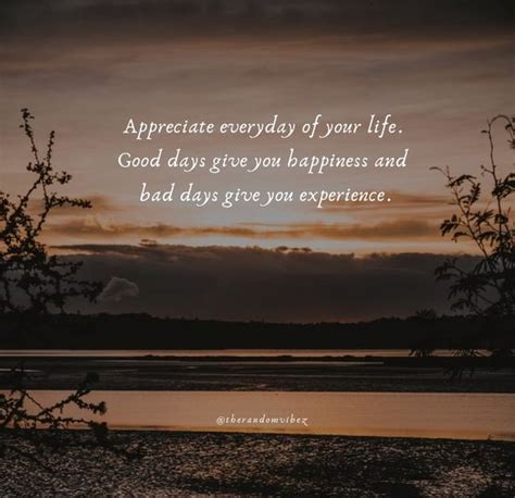 Appreciate Life Quotes And Sayings To Inspire Gratefulness The Random