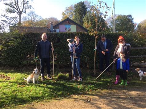 Hampden Park Eastbourne SAKURA CHERRY TREE PROJECT