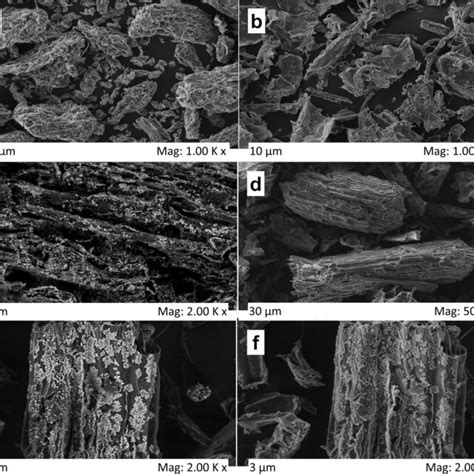 Scanning Electron Photomicrographs Of Ain Natura Sb And B