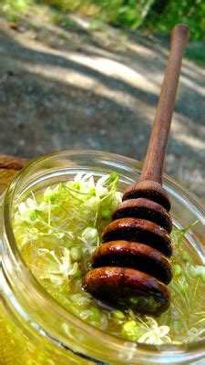 Linden Flower Tea Benefits