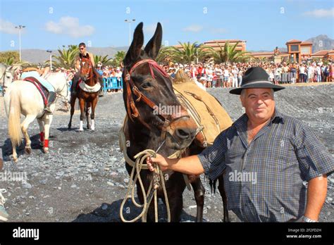 Owners Bring Their Animals For The Blessing To The Beach During The