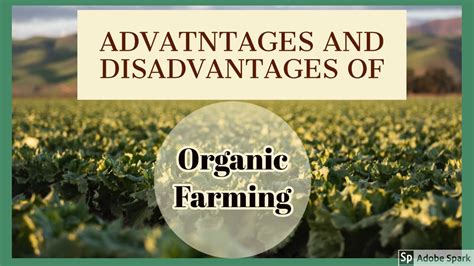 Advantages And Disadvantages Of Organic Farming Youtube