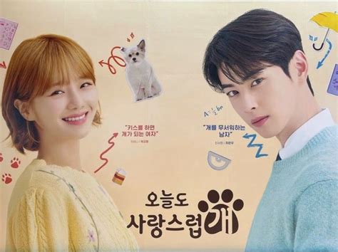 bocoran drakor cha eun woo jadi guru ganteng   good day    dog