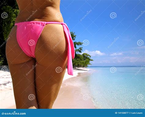 Tropical Stock Image Image Of Bikini Adult Body Shore