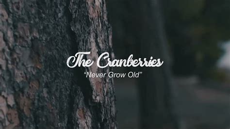 The Cranberries Never Grow Old Lyrics Youtube Music