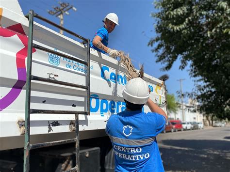 Dengue la Municipalidad de Córdoba recolectó 150 toneladas de