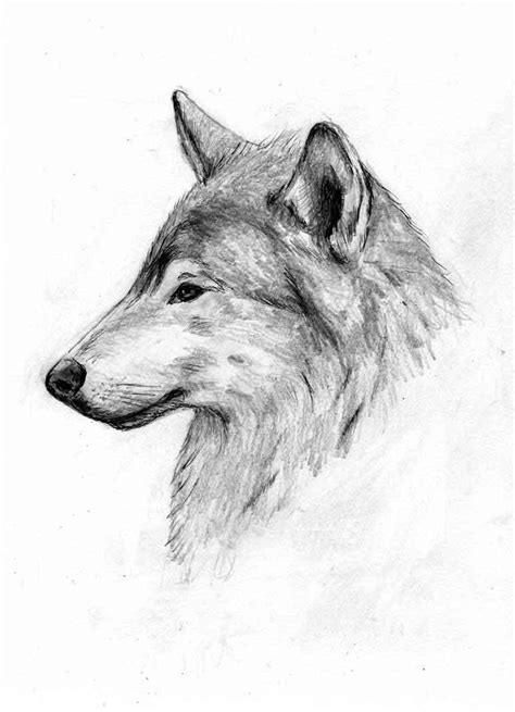 Wolf side profile thing by smiles12345 on DeviantArt