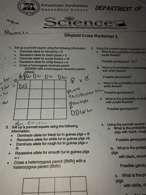 Dihybrid Cross Worksheet Amoeba Sisters Video Recap Dihybrid Crosses Mendelian Amoeba Sisters