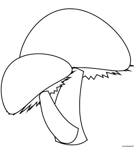 Coloriage Deux Champignons Simples Dessin Champignon à imprimer