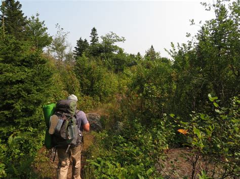 Researchers to track human impacts on Isle Royale wildlife | Quetico ...