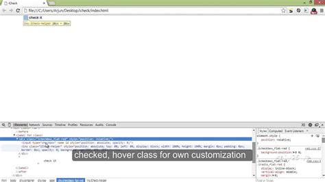 Jquery Icheck Js Customized Checkbox And Radio Buttons Youtube