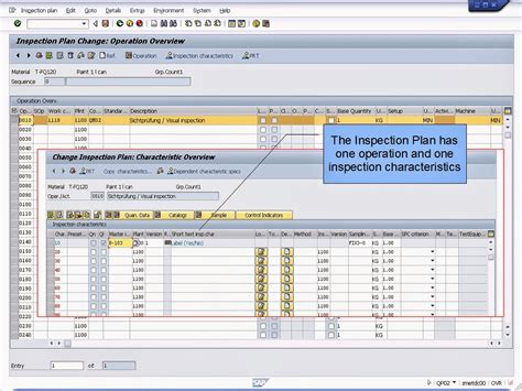 青蛙SAP分享 Froggy s SAP sharing SAP QM Inspection Type 11 Inspection