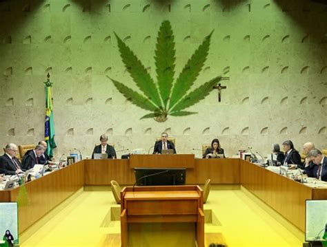 A Decisão Polêmica De Descriminalização Da Maconha No Brasil Uma Análise Crítica Jornal