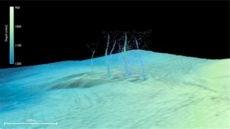 Un Fluido Misterioso Sta Fuoriuscendo Dal Fondale Marino Possibile