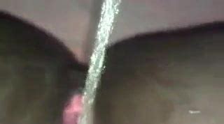 Free Closed Pussy Porn Videos 504 XHamster