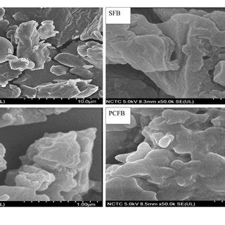 Comparative Study Of Physicochemical And Functional Properties Of