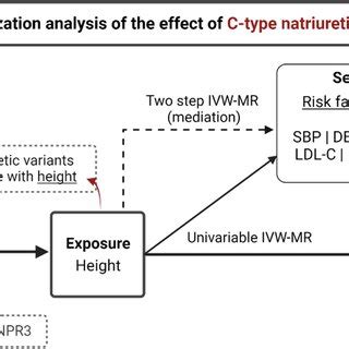 Mendelian randomization analysis considering effects through blood ... 