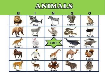 ANIMAL BINGO CARDS by TeacherYuelle | Teachers Pay Teachers