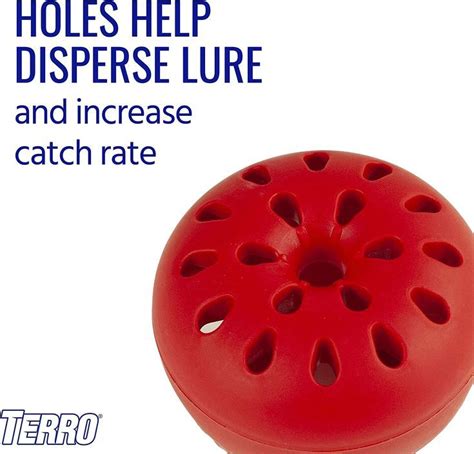 Terro T2502 Ready To Use Indoor Fruit Fly Trap With Built In Window 2 Traps 90 Day Lure