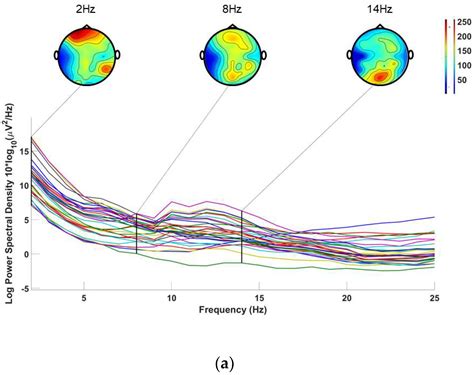 Micromachines Free Full Text A Methodology For Enhancing SSVEP