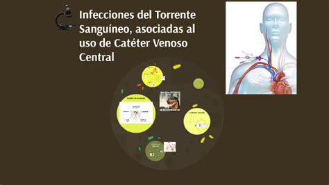 Infecciones del Torrente Sanguíneo asociadas al uso de Caté by Nicole