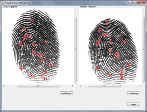 A Framework In C For Fingerprint Verification Codeproject