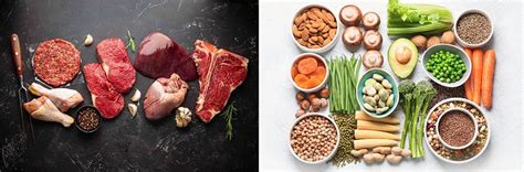 CARNIVORE VS VEGAN DIET: WHICH IS BEST? - Dr. Nathan Bryan - Molecular ...