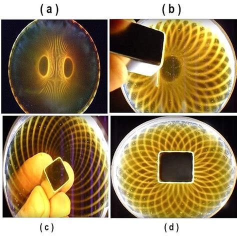 Quantum Field Geometry In 3d Euclidian Space Of A Dipole Magnet As