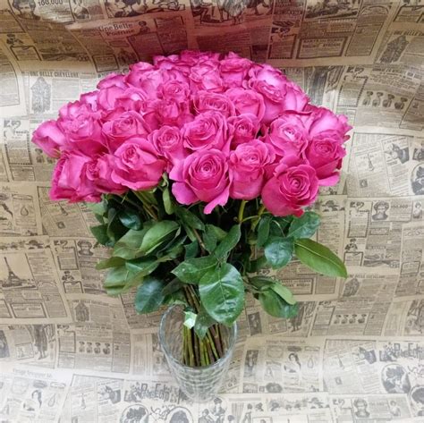 Купить Роза "Пинк Флойд" — 51 шт в Бескудниково и Отрадном с доставкой ...