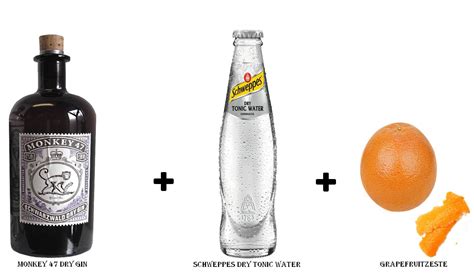 Mögliche Gin & Tonic Kombination mit Monkey 47 Dry Gin