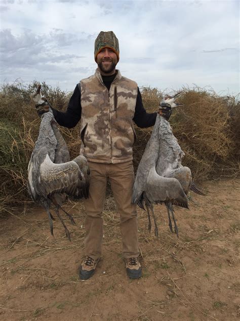 Sandhill Crane Was By Far The Best Bird I Have Ever Had Its Nickname