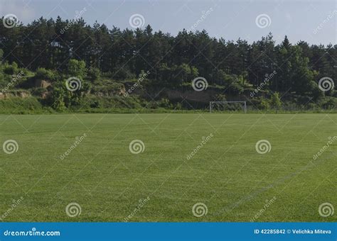 Natural green grass field stock photo. Image of stadium - 42285842