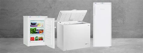 Zamrzivač za bezbedno čuvanje hrane - Tehnomedia blog