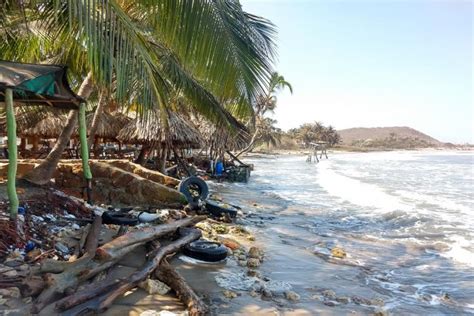 Los Ecosistemas Costeros Estarán En Riesgo Si El Calentamiento Supera Los Dos Grados