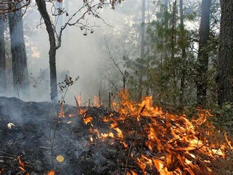 Segob Emite Declaratoria De Emergencia Por Incendios