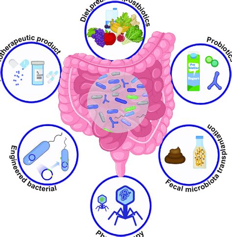 Strategies to modify gut microbiota for disease treatment | Download ...