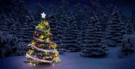 El origen del árbol de Navidad - CVCLAVOZ