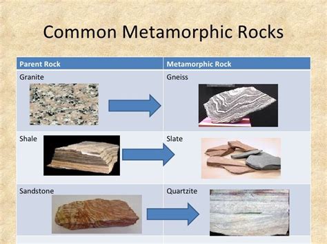 limestone metamorphic rock form  janice hogan blog