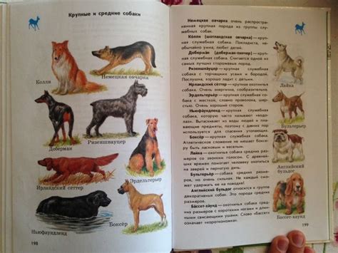 Атлас определитель от земли до неба 2 класс пород собак