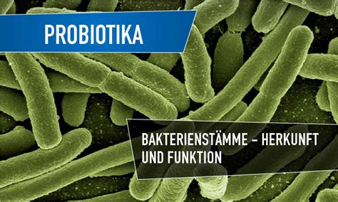Probiotika und seine Wirkung auf die Gesundheit - naturalie.de