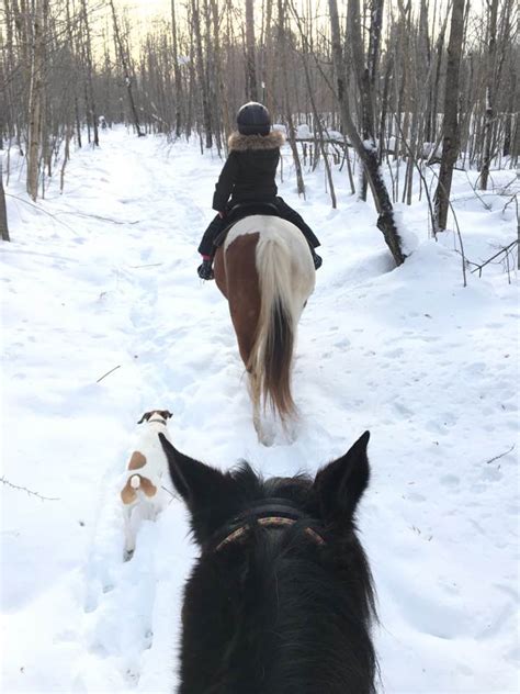 Winter horseback trail riding in Upper Michigan is a unique way to enjoy the outdoors! - Come Riding