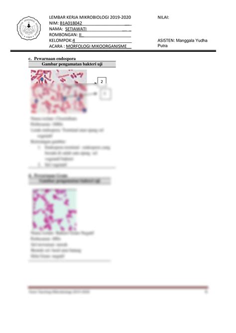 Solution Lembar Kerja Praktikum Mikrobiologi Acara Morfologi