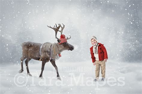 Reindeer Digital Backdrop - Reindeer wearing hat and scarf in Snow ...