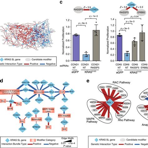 An Isogenic Cell Line Screen Validates Kras Synthetic Lethal Network