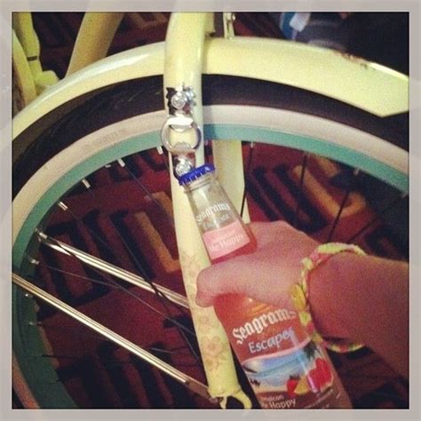 Beach Cruiser Accessories