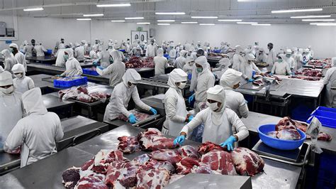 Modi Govt Plans To Push Buffalo Meat Exports As China Is Set To Lift