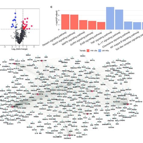 Mirna Regulatory Network In Ra A Volcano Plot For Mirna